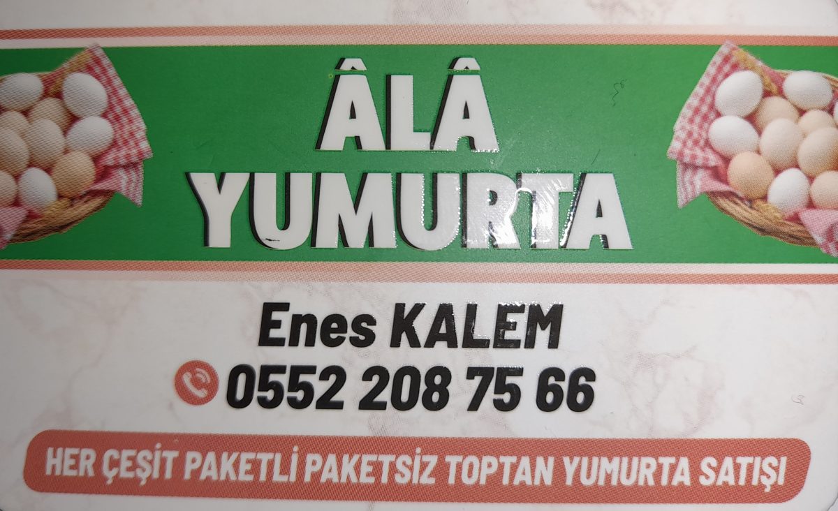 ALA YUMURTA